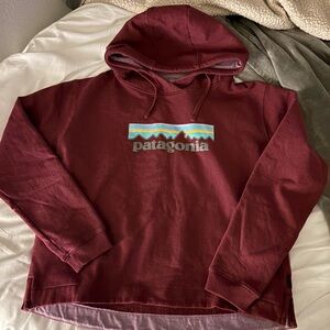Patagonia Hoodie